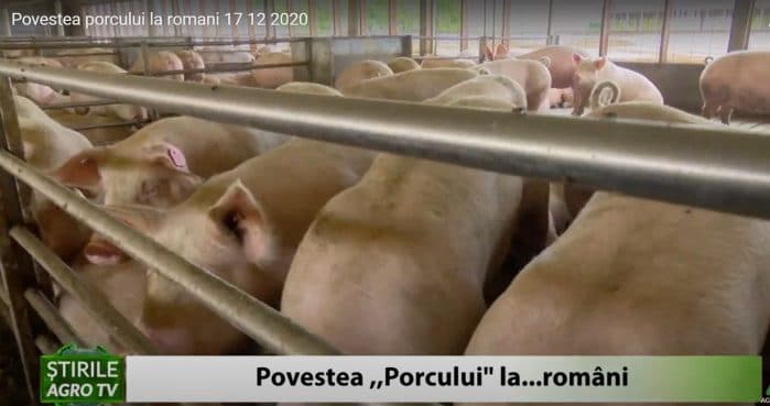 povestea