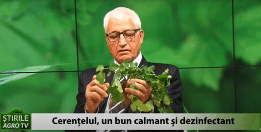 cerențelul