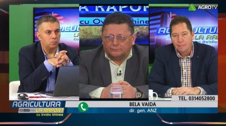 ALR Zoltan Haller Vaida Bela