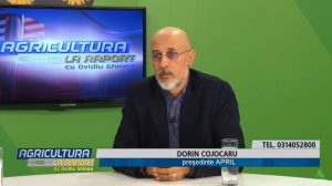 Dorin Cojocaru APRIL lapte