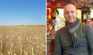 cooperativă