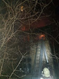 Din păcate, autoritățile au făcut anunțul: 5 bovine au MURIT. Pompierii pun incendiul pe seama unei mâini criminale (GALERIE FOTO) Realitatea Rurala bovine