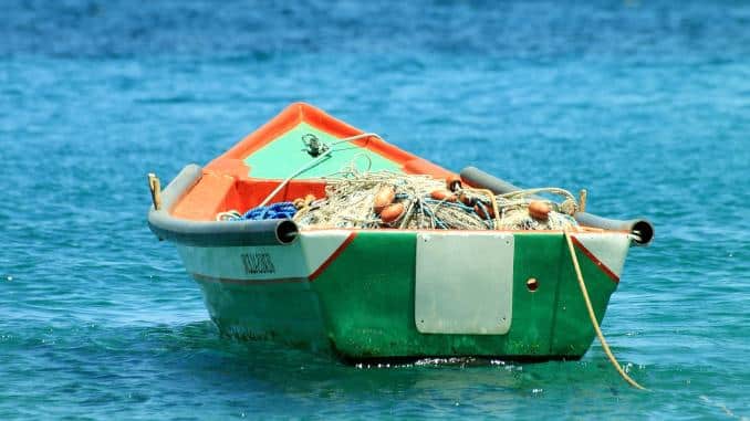 În trei ani am importat pește și produse din pește în cantități enorme. Acuzele aduse de Curtea de Conturi entităților publice auditate (MADR, ANPA și ARBDD) 7 În trei ani am importat pește și produse din pește în cantități enorme. Acuzele aduse de Curtea de Conturi entităților publice auditate (MADR, ANPA și ARBDD) pește