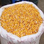 preturi piața porumbului import fermieri piata cerealelor pretul porumbului