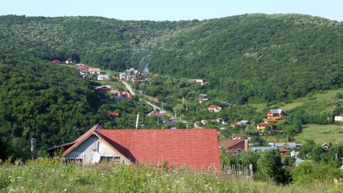 Buzău - domeniul agricol