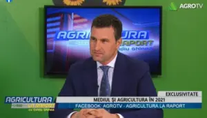 Tanczos Barna puturi forate