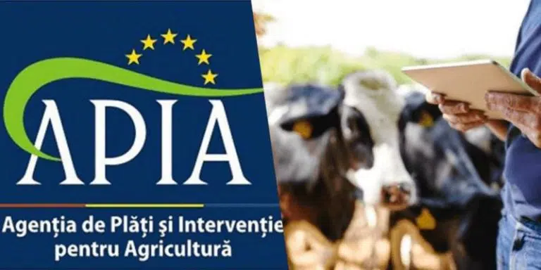 APIA, crescătorii de bovine