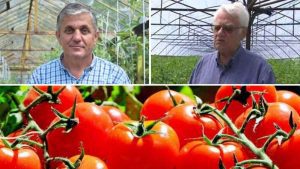 alegerea semințelor Costel Vânătoru Victor Lăcătuș