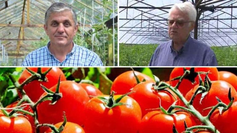 alegerea semințelor Costel Vânătoru Victor Lăcătuș