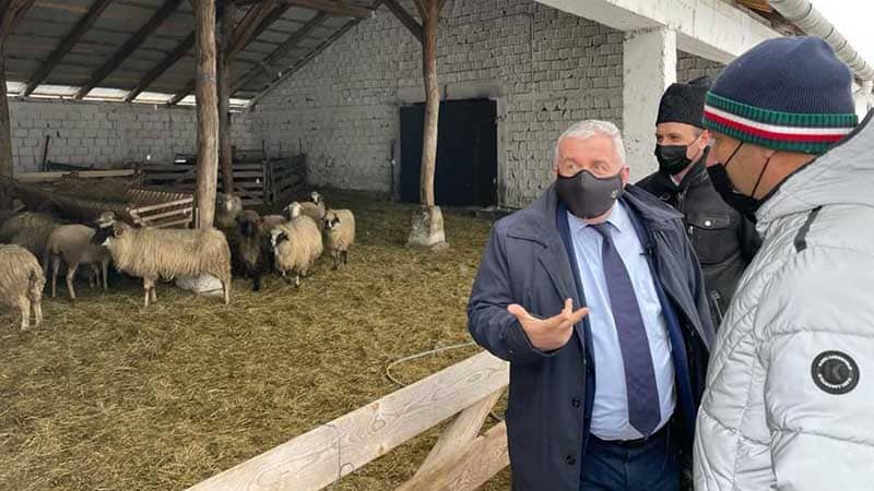 daniel buda oi țurcane