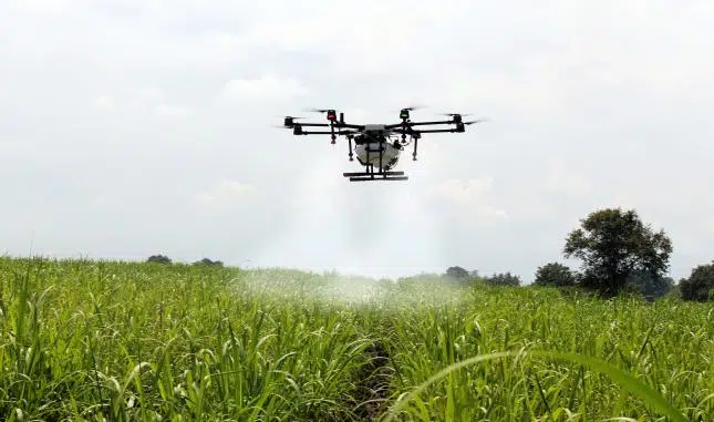 drone