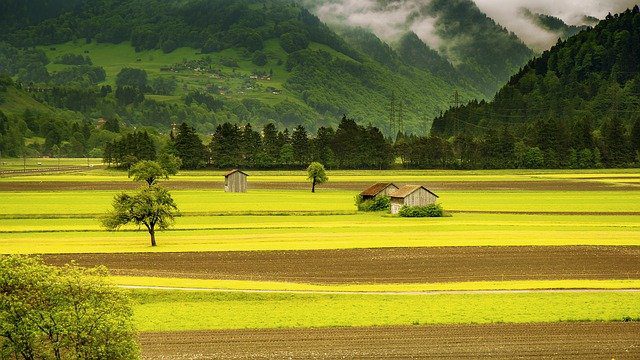 schimbările climatice