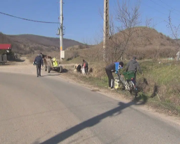 La muncă, nu la întins mâna! Asistații sociali obligați să iasă la treabă 1 La muncă, nu la întins mâna! Asistații sociali obligați să iasă la treabă La muncă, nu la întins mâna! Asistații sociali obligați să iasă la treabă Viata la tara asistații social