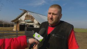 cioban despre prețul mieilor crescătorii de ovine