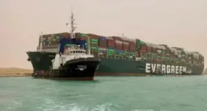 nave cu animale