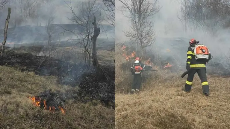 incendii de vegetație
