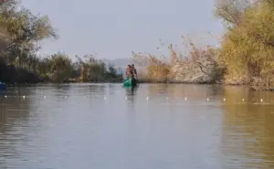 șalău