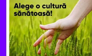 fungicid sistemic