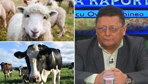 anz controale în ferme