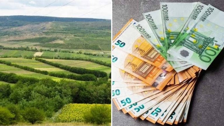 credite la dobânzi reduse