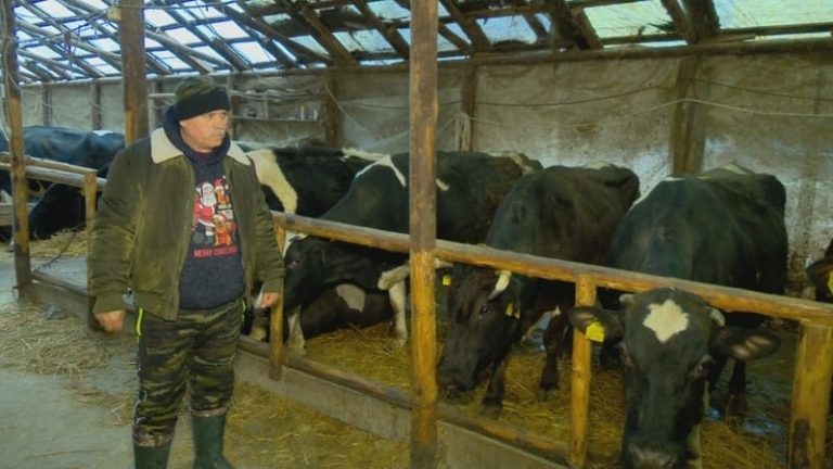 crescătorii de animale