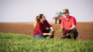 agricultura