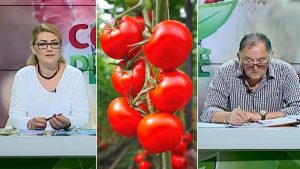 cei mai periculoși viruși pentru legume
