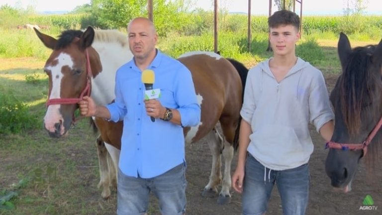 Adrian Costin și Raul Costin