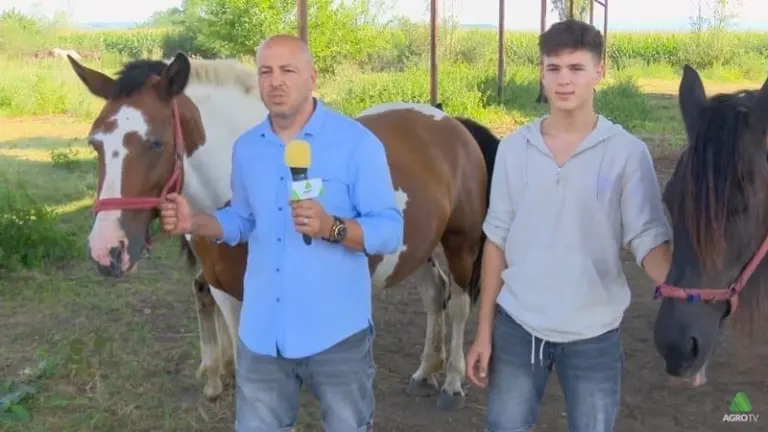 Adrian Costin și Raul Costin