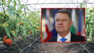 Ion Păunel: L-aș invita pe Președintele României într-un solar de legume