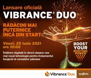 vibrance duo