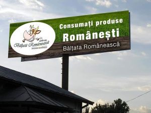 Bălțata Românească