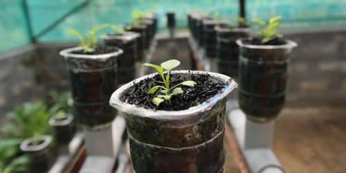 16 dintre cele mai profitabile idei de agricultură la scară mică 2 16 dintre cele mai profitabile idei de agricultură la scară mică 16 dintre cele mai profitabile idei de agricultură la scară mică Afaceri agricultură la scară mică