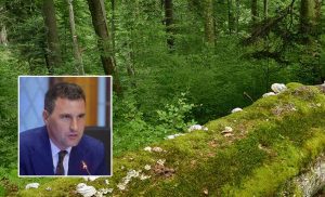 Strategia forestieră a UE