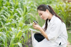 corteva agriscience