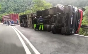 TIR cu porci