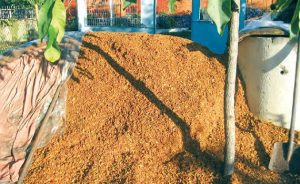 deșeuri agricole și alimentare
