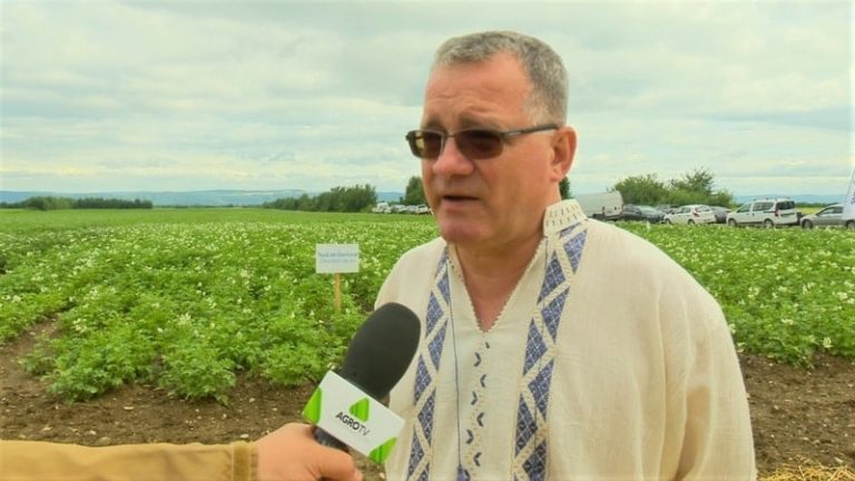 Adrian Oros PNS producții