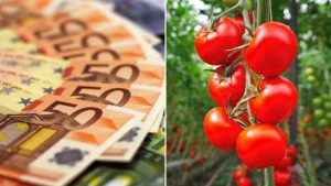 ajutor de stat subventii programul tomata legumicultori minimis legume în spații protejate APIA, sprijinul cuplat sprijin financiar platile la programul tomata, DR-16