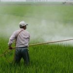 pesticide, infracțiuni de mediu