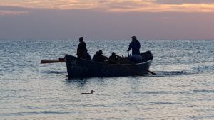 pescari, pescuit