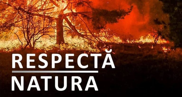incendiile de vegetație