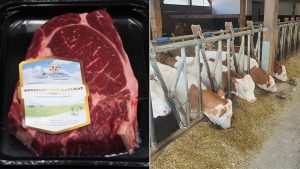 carne de vita baltata romaneasca