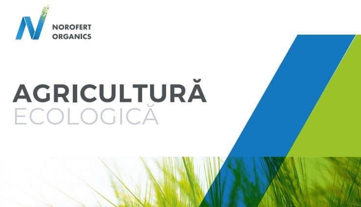 Norofert Group organizează luni 23 august la fabrica sa din Filipeștii de Pădure o nouă ediție a evenimentului Ziua Investitorului Norofert