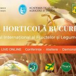 Toamna Horticolă Bucureșteană