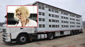 interzicerea transportului de animale vii