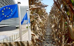Comisiei Europene