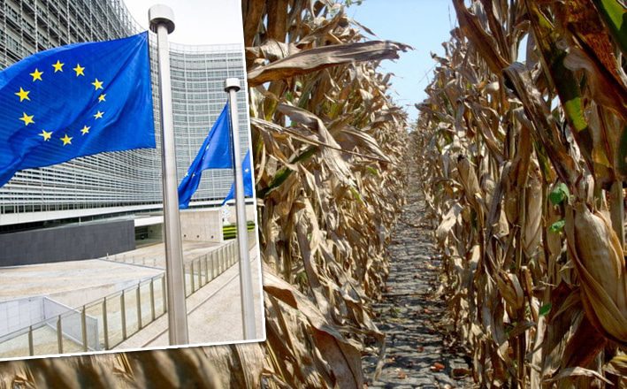 Comisiei Europene