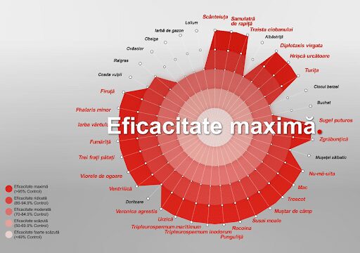 Erbicidarea din toamnă a culturilor de cereale păioase - Câștigați bătălia cu BATTLE® DELTA 1 Erbicidarea din toamnă a culturilor de cereale păioase - Câștigați bătălia cu BATTLE® DELTA Erbicidarea din toamnă a culturilor de cereale păioase - Câștigați bătălia cu BATTLE® DELTA Advertorial erbicidarea din toamnă