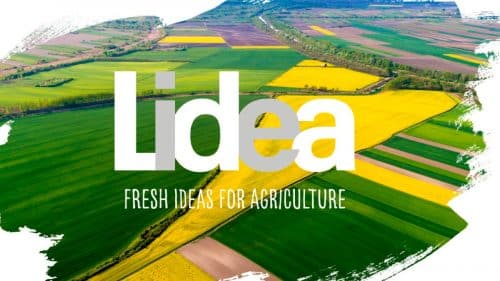 lidea